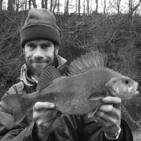 Norman Thelwell - Medlar Press Author