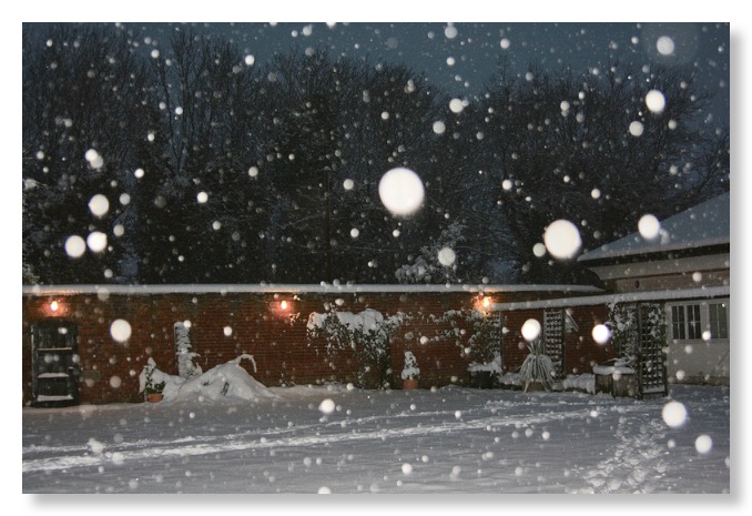 snow in Medlar courtyard