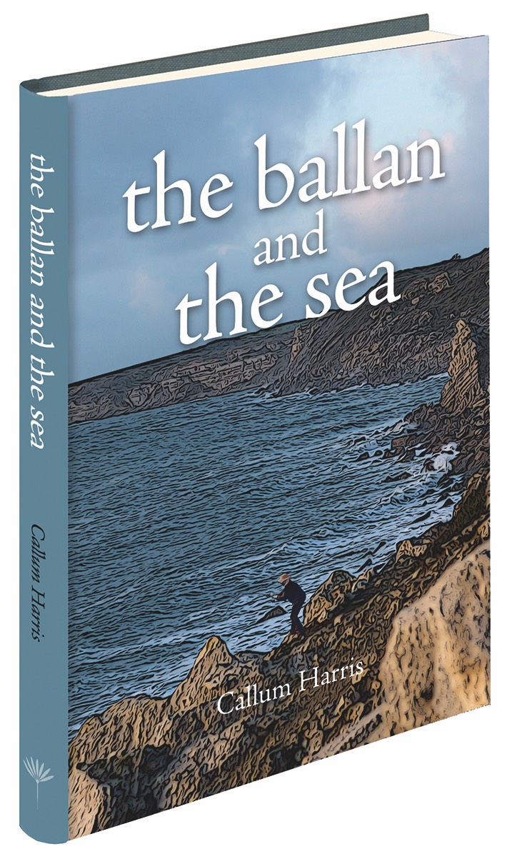 A short description about the picture goes here